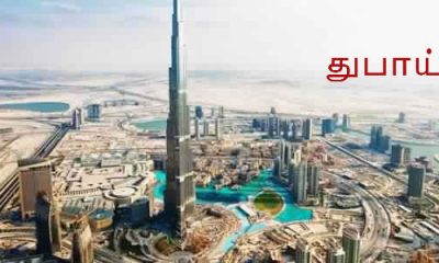 துபாய், பபல் கம், சூவிங் கம், என்ஆர்ஐ, அபராதம், NRI, Be Aware, Fine, Before, Spitting, Bubble Gum, Chewing Gum, Dubai, chewing gum fine dubai, chewing gum in dubai metro, bubble gum in dubai