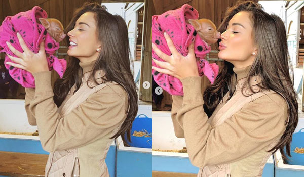 Amy Jackson Kissing Pig