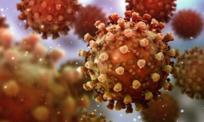 New Coronavirus type