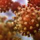 New Coronavirus type