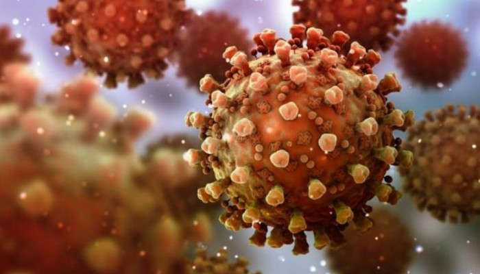 New Coronavirus type