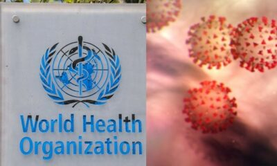 new coronavirus - WHO