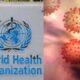 new coronavirus - WHO