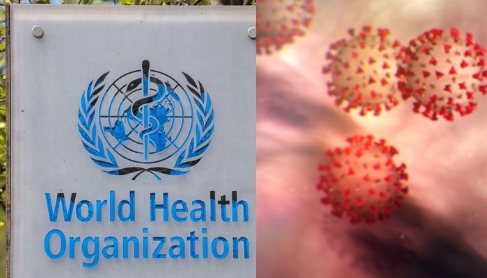 new coronavirus - WHO