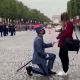 proposal