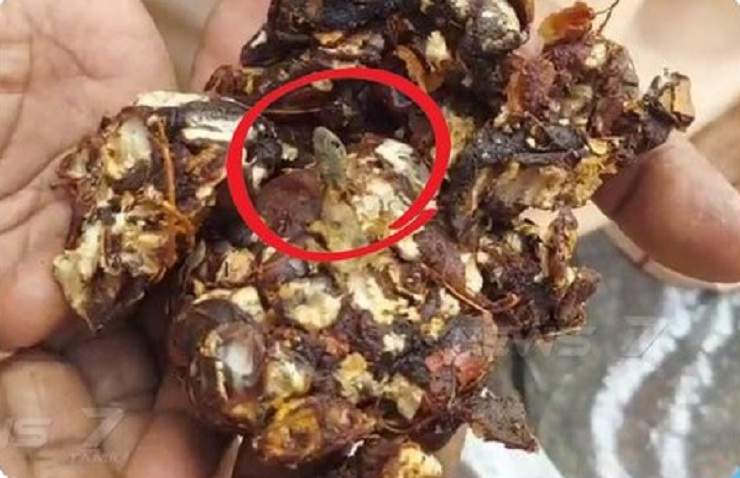 பொங்கல் பரிசு தொகுப்பில் இருந்த பல்லி: அதிர்ச்சியில் பயனாளிகள்!